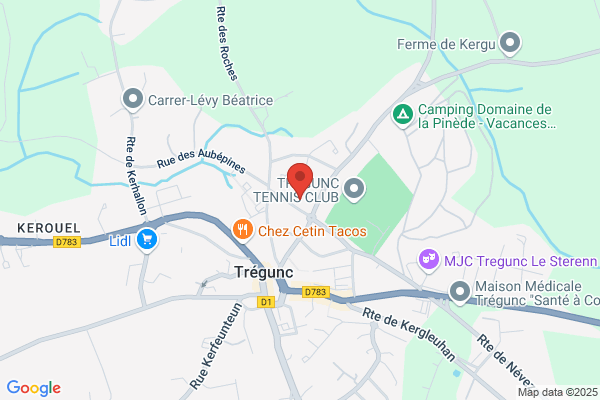 Couverture Le Gallic