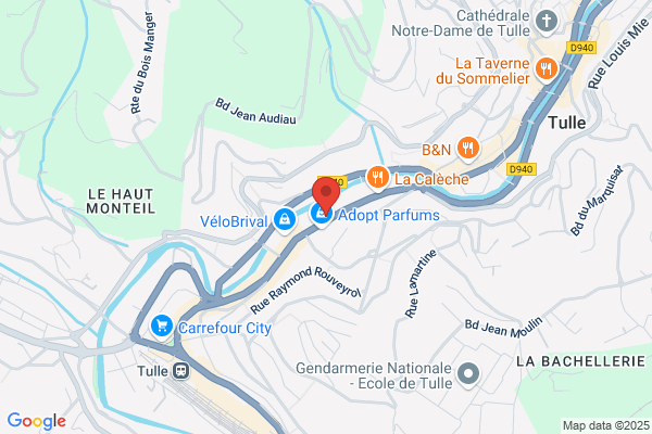 Gault Alain Et Andreau Francis Scp D orl