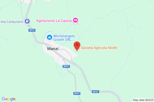 Aliotti Michel
