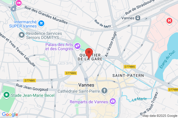 Centre Medico Social Commission Locale D Insertion