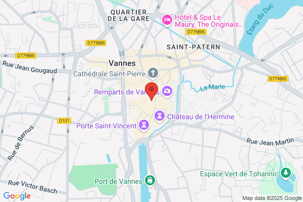 Bellec Ronan Professeur Diplome Violon Alto
