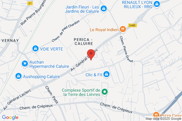 Garage Caluire Auto Singert