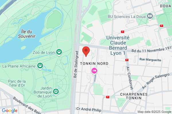 Info Services Assures Audit Assur