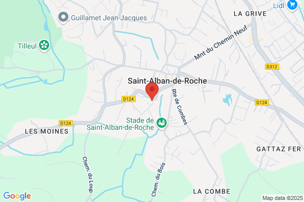 Florence GIBERT GAUFRES