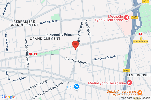 LES MENUS SERVICES VILLEURBANNE