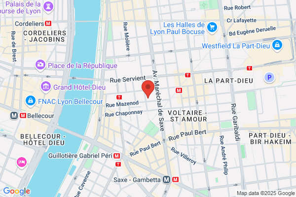 Conseil Social Guillotiere Part Dieu Antenne Jeunes