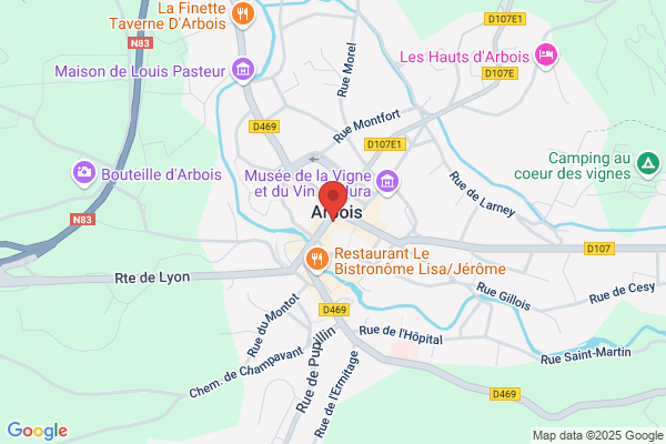 Henri Maire Sa