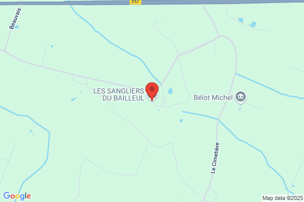 SANGLIERS DU BAILLEUL