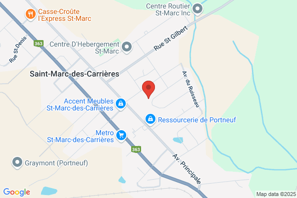Electro Domotique Services