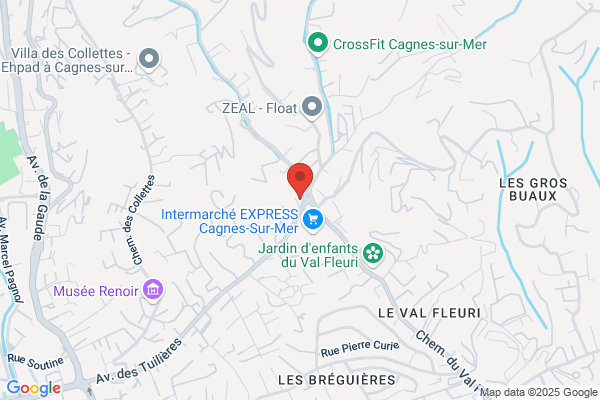 Avenir Climatique Et Frigorifique