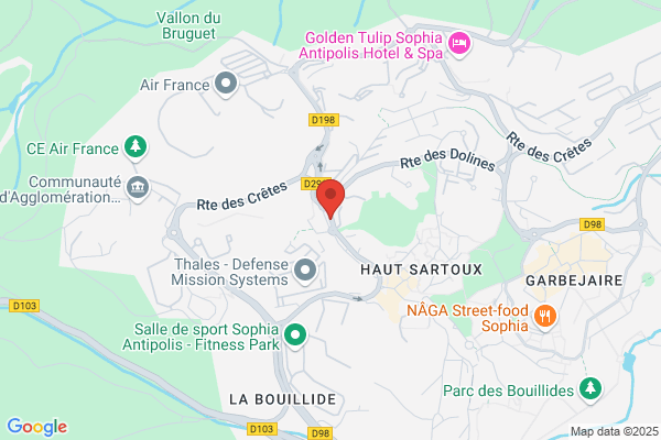 Elg Snc Comite D Entreprise
