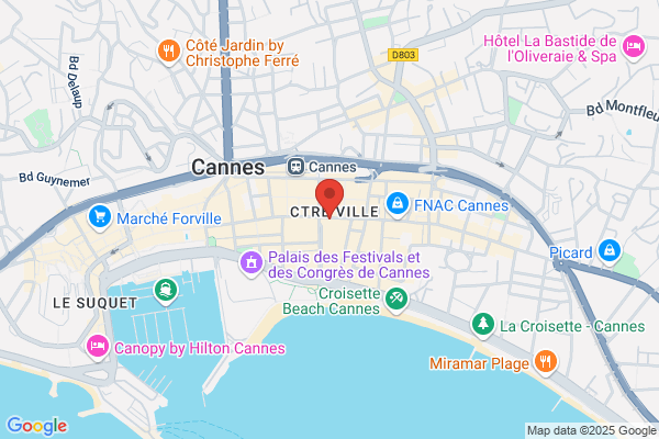 Cannes Voyages
