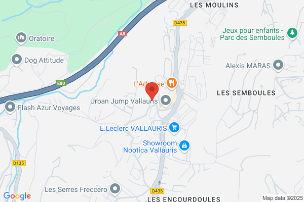 Vocale Academy