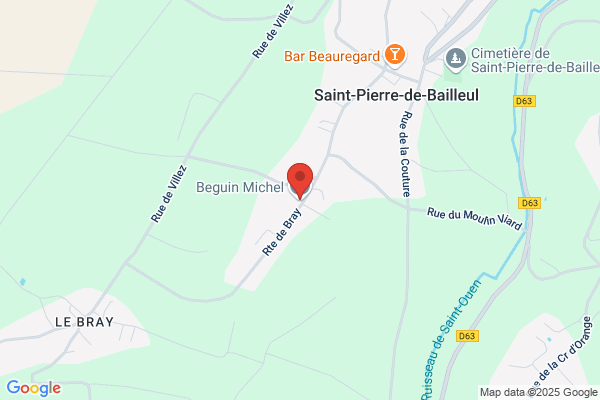 Beguin Michel