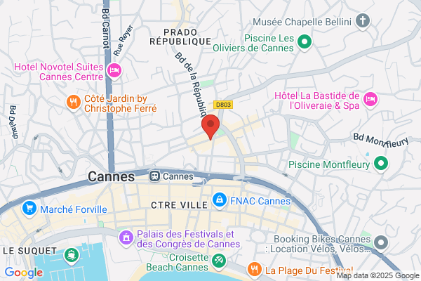 Cannes Electricite Services Sarl