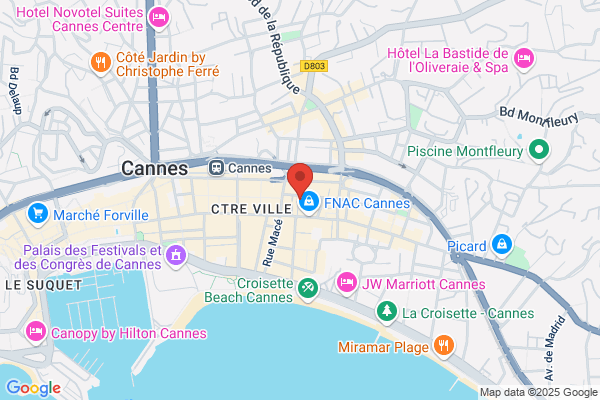 Hotel Des Congres Et Festivals