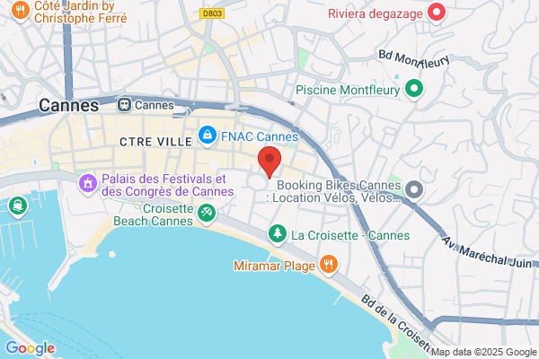 Agence Du Festival