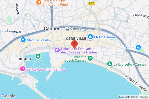 Immo Viager Consultant