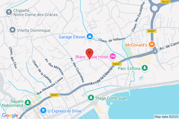 Cote D Azur Communication Services