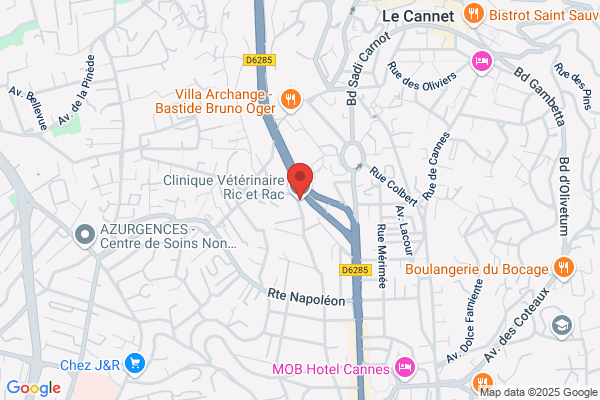Clinique Veterinaire Ric Et Rac