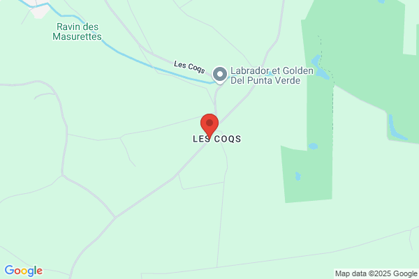 A Votre Service