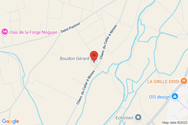 Boudon Gerard
