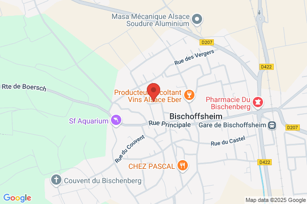 Anne Chancelle Ste