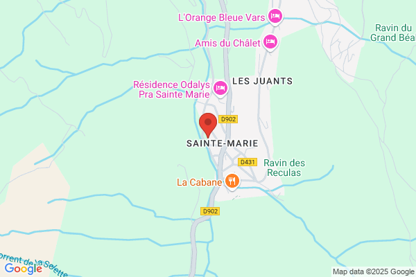 Hotel Le Chamois