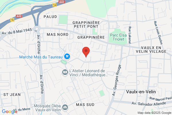 Devex France