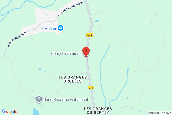 Henry Et Dominique