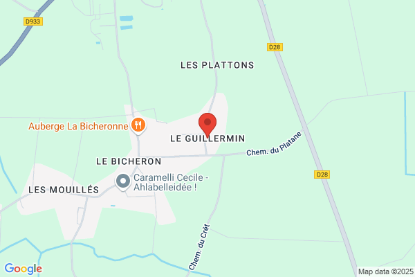 Guillermin Frederic