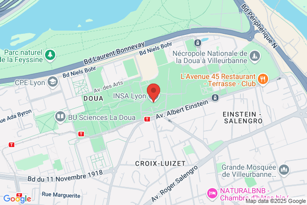Insa Service De Francais Langue Etrangere
