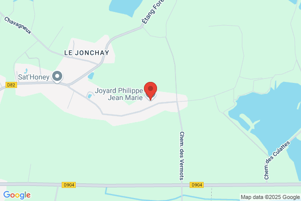 Joyard Philippe