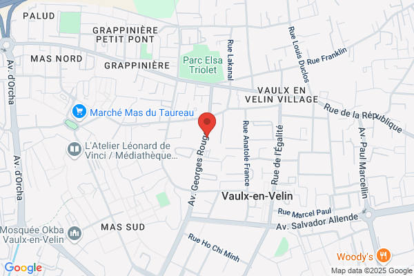 Institut Corine