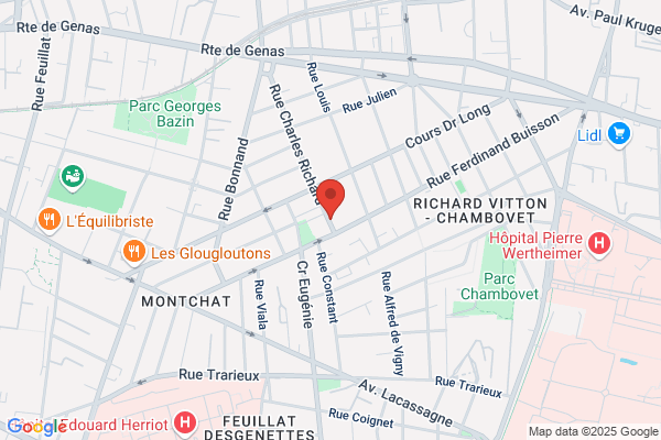 Bibliotheque Pour Tous De Montchat