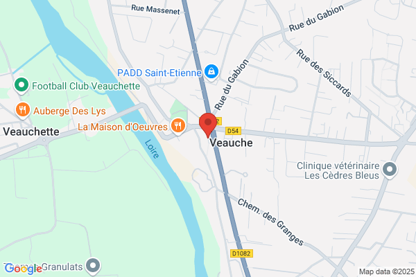 Amplifon Audioprothésiste Veauche