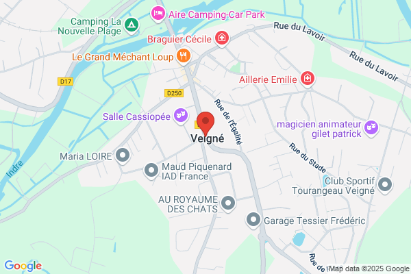 Elagage NTP - élagueur Tours - Indre et Loire