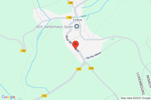 Le Ramoneur 95 60