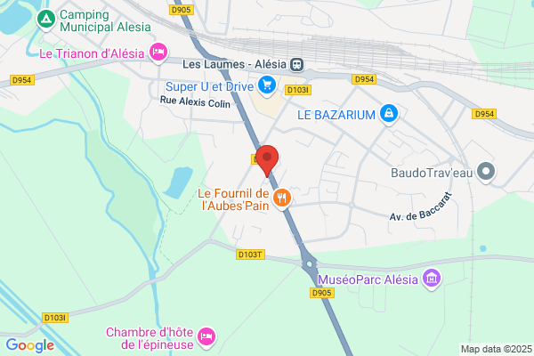 LES EXPERTS MEUBLES ALESIA Venaray-les-Laumes