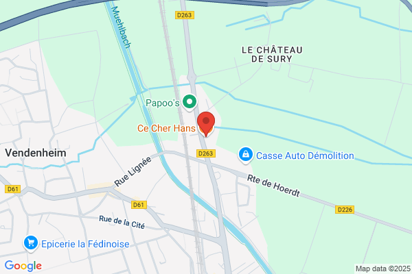 Ce Cher Hans