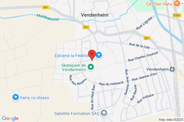 College De Vendenheim