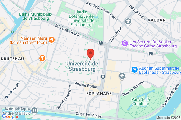 Institut Federatif De Neurosciences
