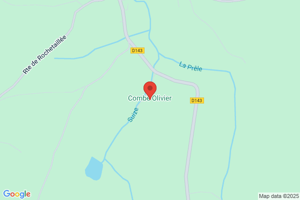 Common Olivier