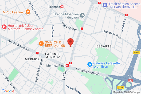 Ecoles Publiques 8e Arrondissement Jean Mermoz Gardi