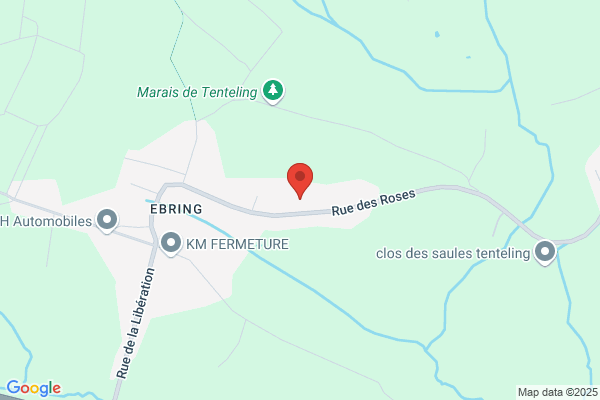 Boiselle Martine Infirmiere