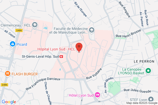 LES MENUS SERVICES LYON SUD