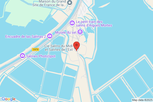 Csm Cie Des Salins Du Midi