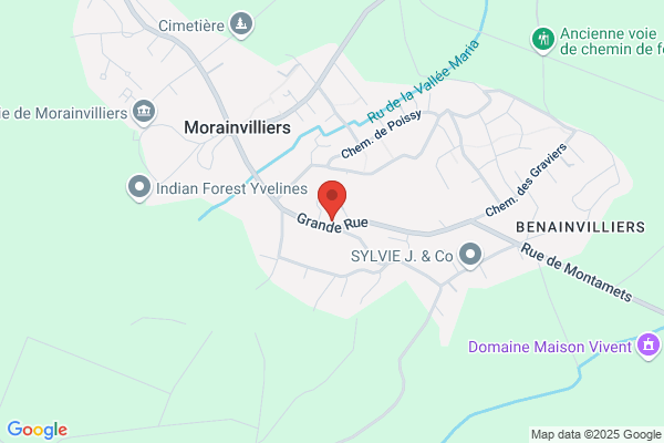 Racoon Propreté