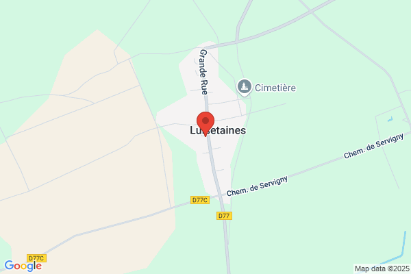 Cassine