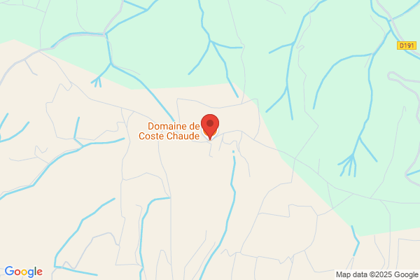 Domaine De Costebonne